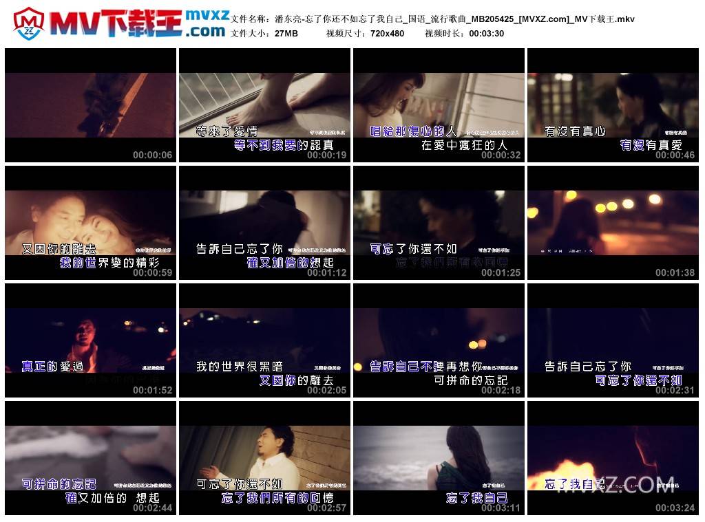 潘东亮-忘了你还不如忘了我自己_国语_流行歌曲_MB205425